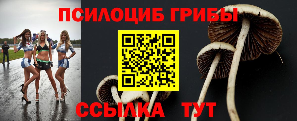 Галлюциногенные грибы Psilocybine cubensis  Вход с VPN  Реутов 